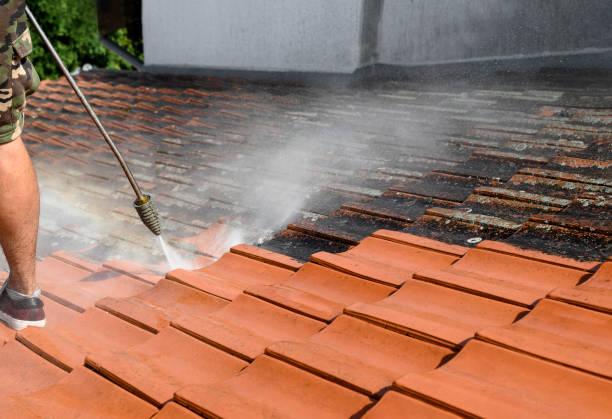 Best Best Pressure Washing Companies  in Cresco, IA