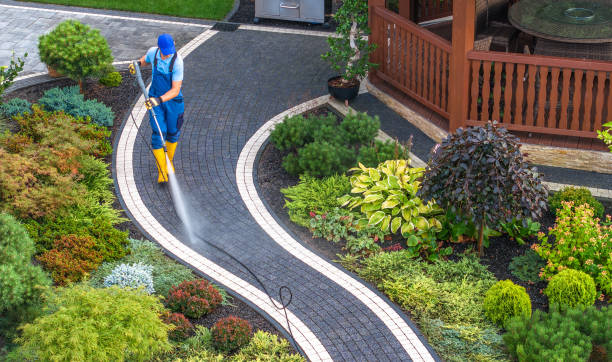 Best Roof Pressure Washing  in Cresco, IA